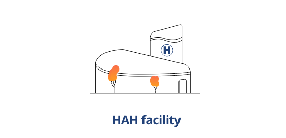Mhcare Process 1