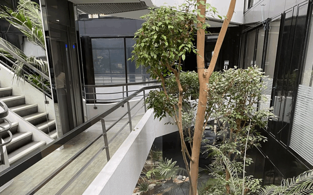 MHComm inaugure ses nouveaux locaux : un espace de travail dédié au bien-être et à l’innovation